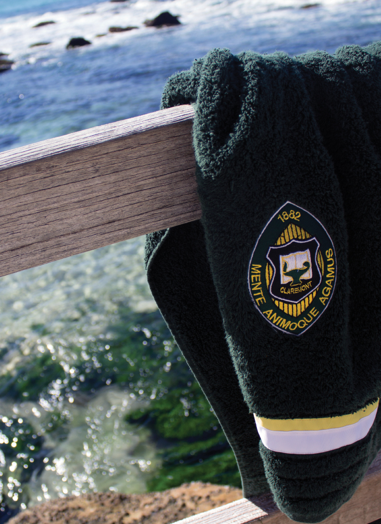 towel